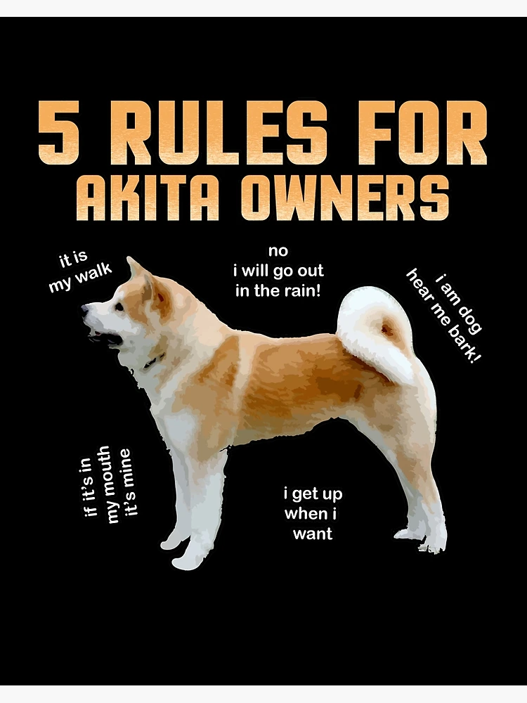 5 rules for akita owners Akita dog gift Art Board Print by redshirtz Redbubble