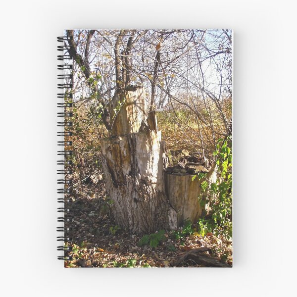 Item preview, Old Tree Stumps designed and sold by Shulie1.