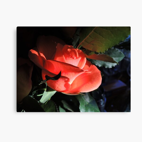 Item preview, rose and light designed and sold by Daidalos.