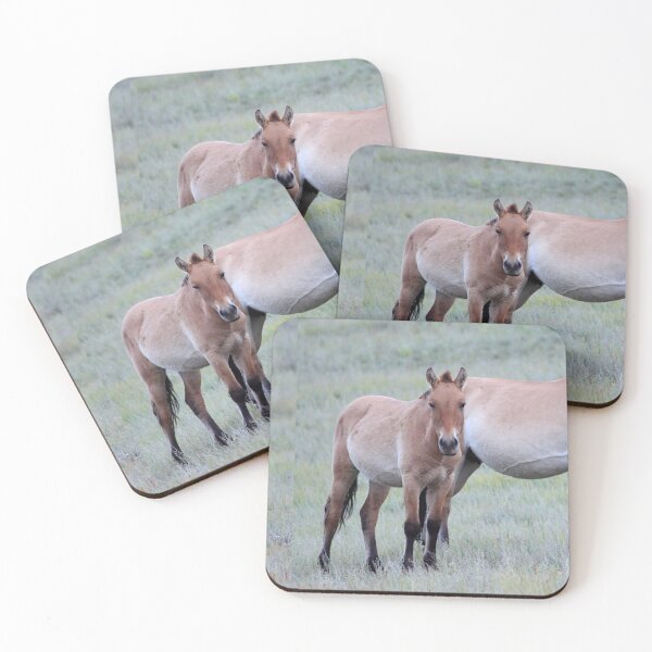 Item preview,  Przewalski's Horses, Mongolia designed and sold by Carole-Anne.