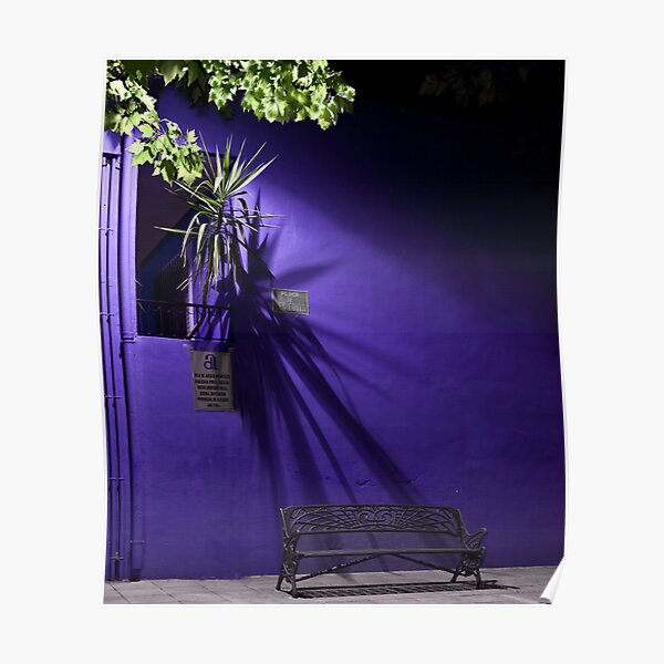 Vibrant Solitude Poster
