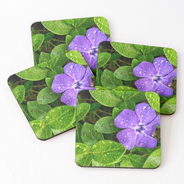 Item preview, Vinca designed and sold by 450nm.