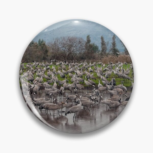Item preview, Migrating Cranes  designed and sold by Yair Karelic.