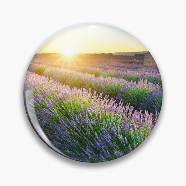 Item preview, Sunset over lavender fiels of Valensole designed and sold by Gaël FONTAINE.
