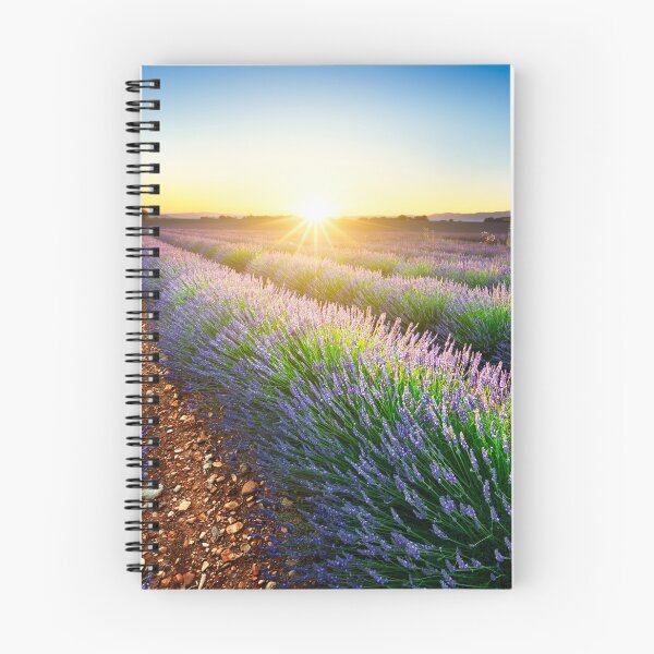 Item preview, Sunset over lavender fiels of Valensole designed and sold by Gaël FONTAINE.
