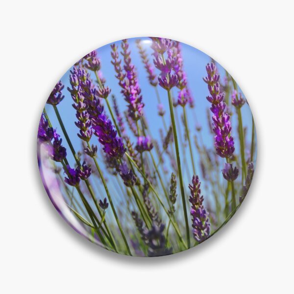Item preview, Lavender fiels of Valensole designed and sold by Gaël FONTAINE.