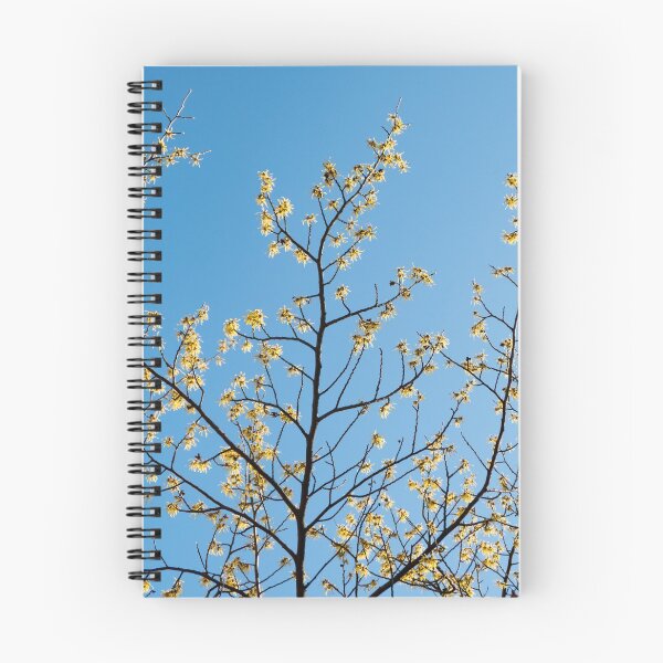 Item preview, Flower Photography Maiden Hair Tree designed and sold by photos-thoughts.
