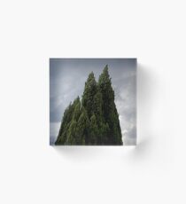 Conifers Acrylic Block