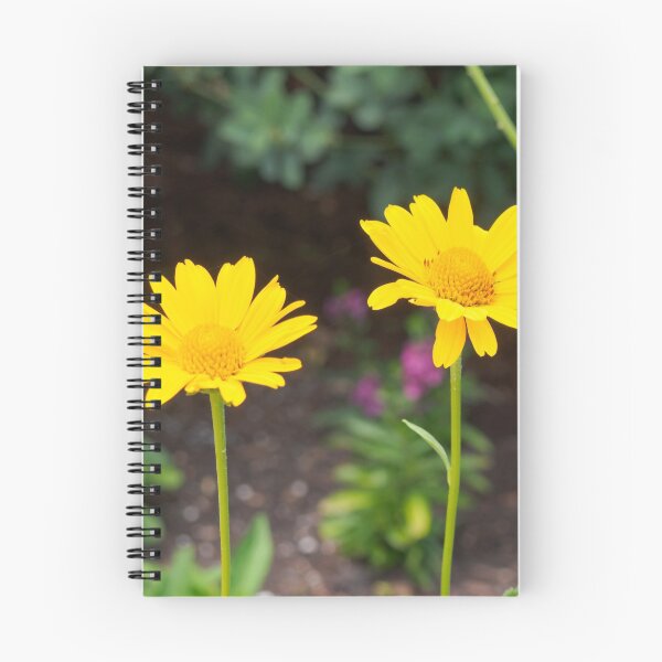 Item preview, Flower Photography Two Yellow Daisies designed and sold by photos-thoughts.