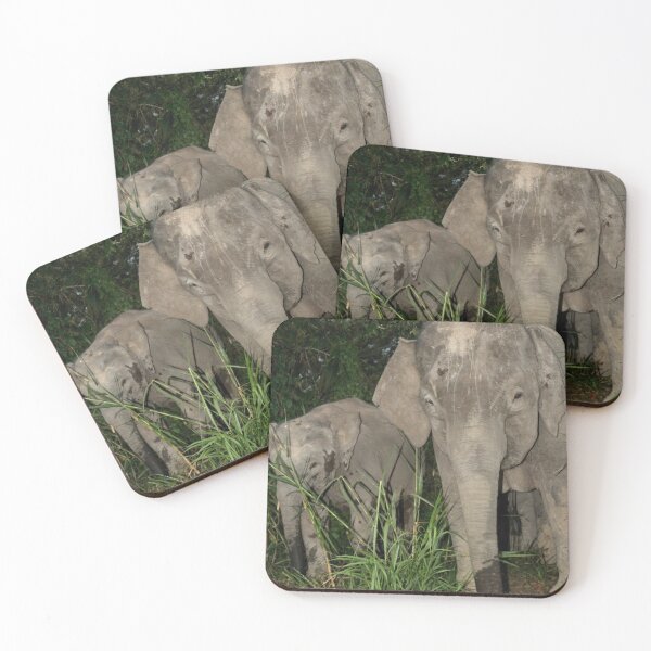 Item preview, Borneo's Pygmy Elephants designed and sold by Carole-Anne.