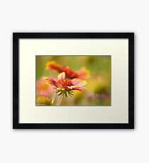 She ain't heavy, she's my sister...Got 2 Featured Works Framed Print