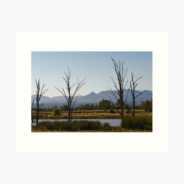 Item preview, On the Way to Narrabri designed and sold by Werner Padarin.