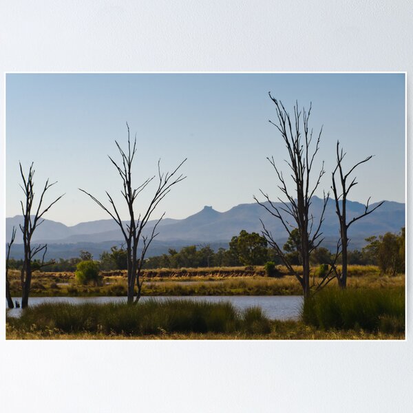 Item preview, On the Way to Narrabri designed and sold by Werner Padarin.