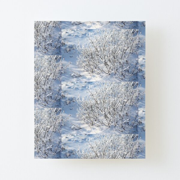 Hoarfrost on Arctic Willow Canvas Mounted Print