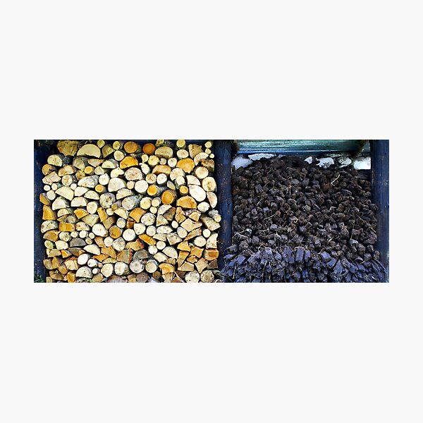 Wood & Turf Photographic Print