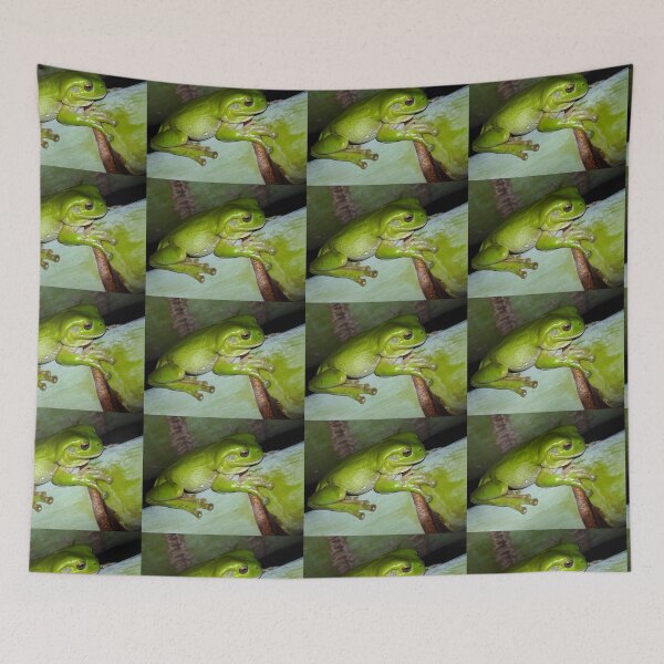 Item preview, Frog Cushion #1  designed and sold by ginnymac.