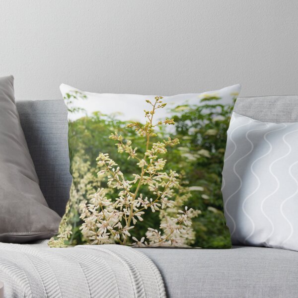 Item preview, Flower Photography White petals Growing designed and sold by photos-thoughts.