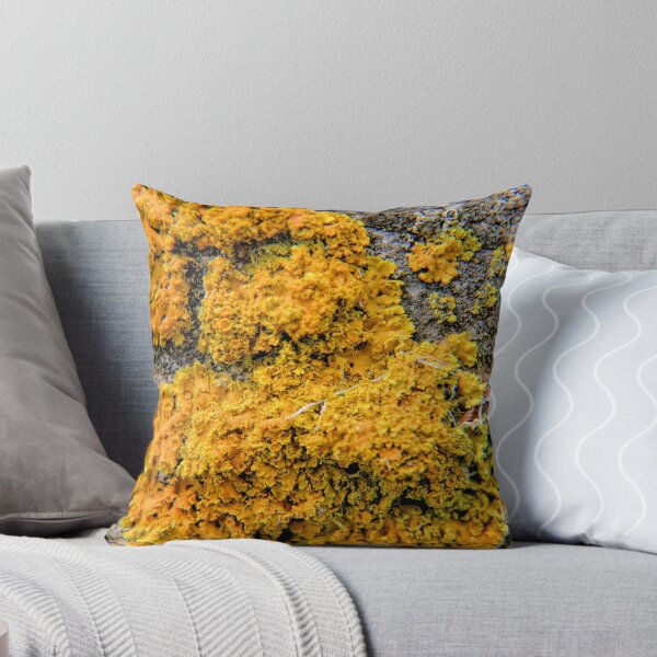 Item preview, Lichen designed and sold by LynyrdSky.