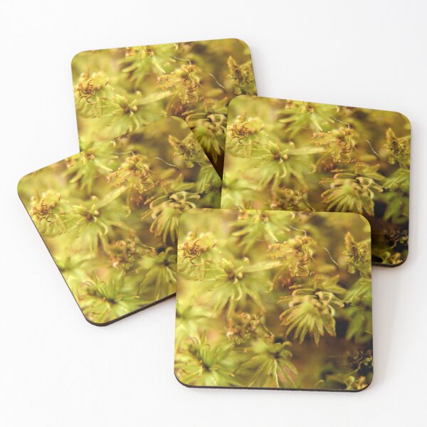 Item preview, Moss Blooms 2 designed and sold by LynyrdSky.