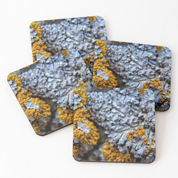Item preview, Lichen 2 designed and sold by LynyrdSky.