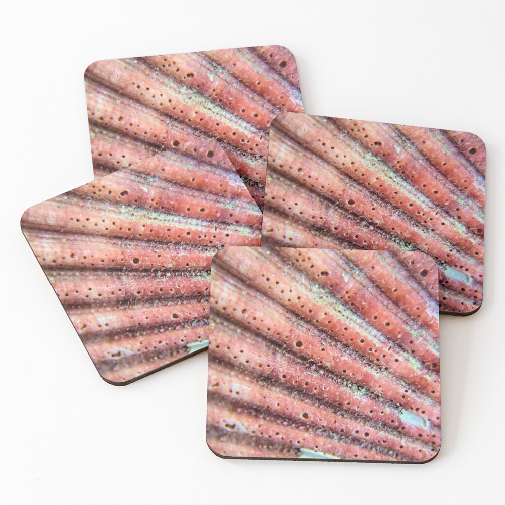 Item preview, Coasters (Set of 4) designed and sold by LynyrdSky.