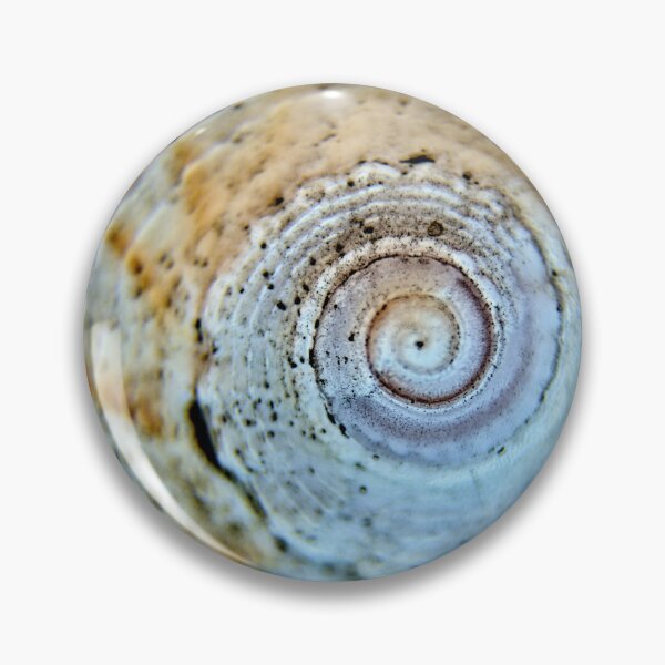Item preview, Spiraled designed and sold by LynyrdSky.