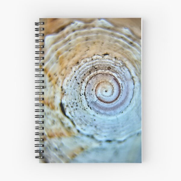 Item preview, Spiraled designed and sold by LynyrdSky.