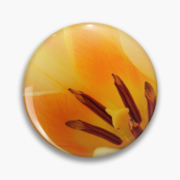 Item preview, Tulipa  'Fur Elise'  Tulip  Greigii Group designed and sold by Chris Burrows.