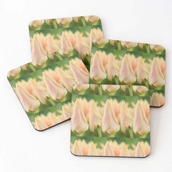 Item preview, Tulipa  'Fur Elise'  Tulip  Greigii Group designed and sold by Chris Burrows.
