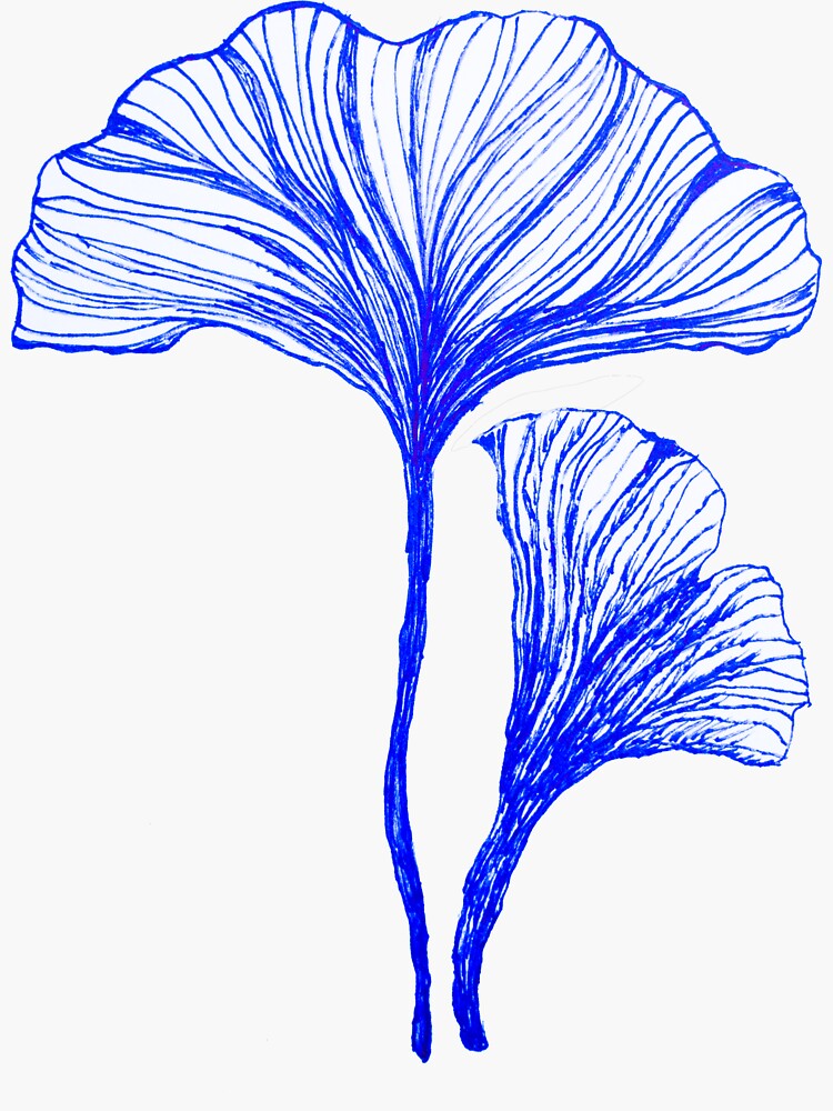 "drawing of ginkgo leaf .fall season" Sticker for Sale by Banlue