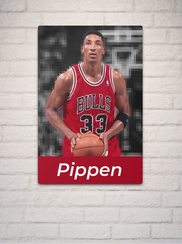 Scottie pippen hot sale dog jersey