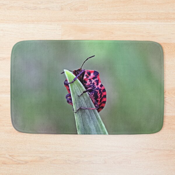 Item preview, Macro Black-Red Striped Bug on Green Leaf - Funny Pop Art Insects Gift  designed and sold by r-silver.