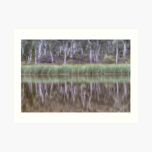 Australian Reflections Art Print
