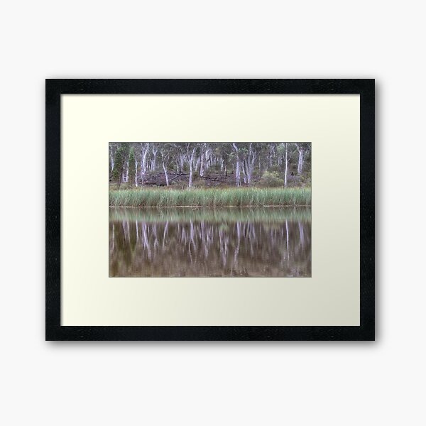 Australian Reflections Framed Art Print