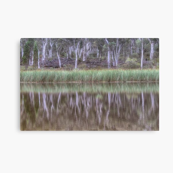 Australian Reflections Canvas Print