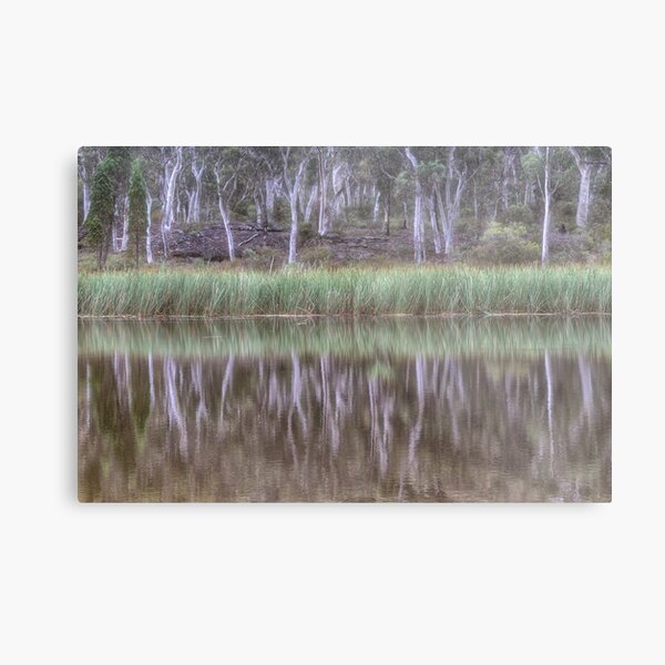 Australian Reflections Metal Print