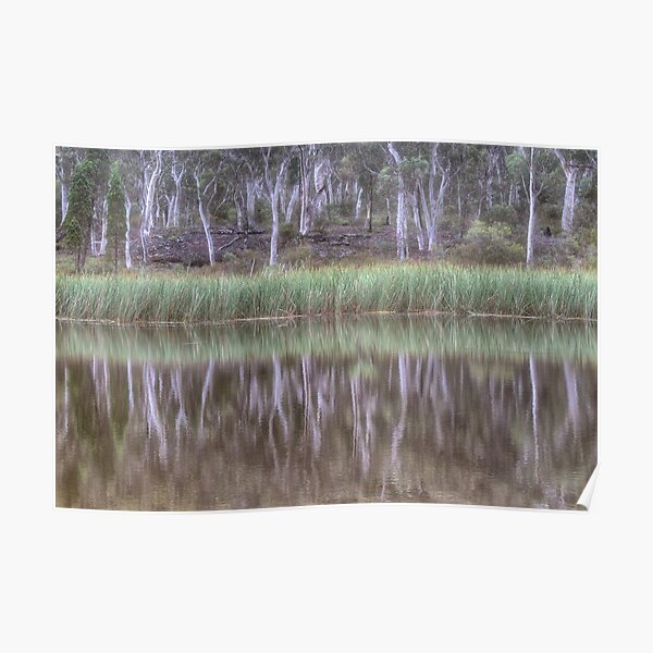 Australian Reflections Poster