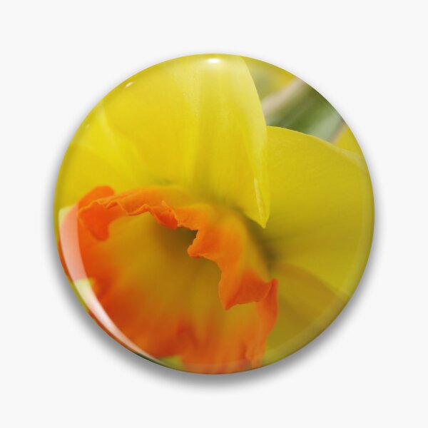 Item preview, Narcissus  'Bantam'  AGM   Division 2 Large-cupped  Daffodil	 designed and sold by Chris Burrows.