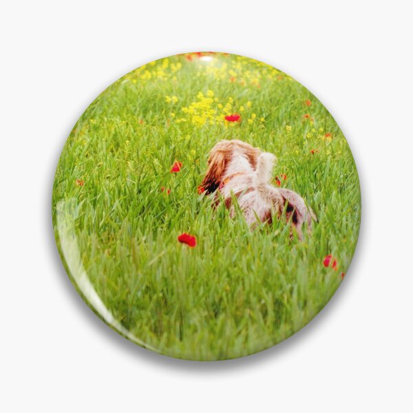 Item preview, You belong somewhere you feel free Spinone designed and sold by FOLK ART FUSION.