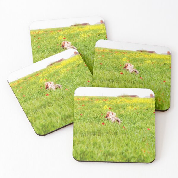 Item preview, You belong somewhere you feel free Spinone designed and sold by FOLK ART FUSION by heidiannemorris.