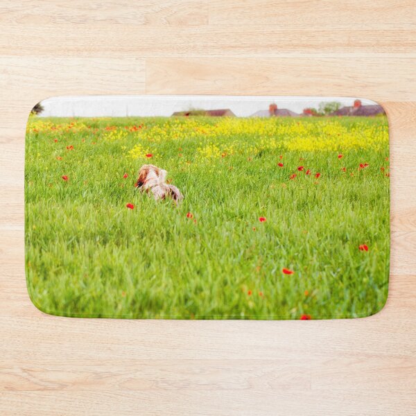 Item preview, You belong somewhere you feel free Spinone designed and sold by FOLK ART FUSION by heidiannemorris.