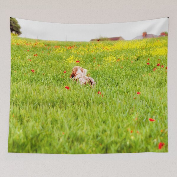 Item preview, You belong somewhere you feel free Spinone designed and sold by FOLK ART FUSION by heidiannemorris.