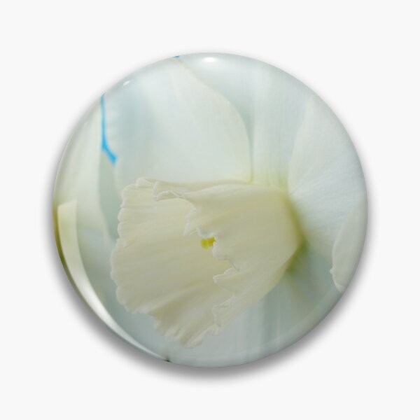 Item preview, Narcissus  'Misty Glen'  AGM    Division 2 Large-cupped Daffodil designed and sold by Chris Burrows.
