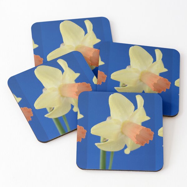Item preview, Narcissus  'Prototype'   Division 6 Cyclamineus Daffodil  designed and sold by Chris Burrows.