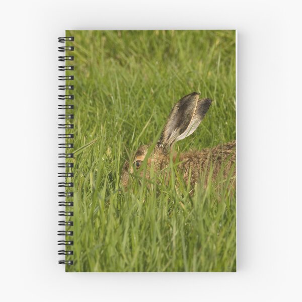 Item preview, Wild hare in the long grass. designed and sold by sandyprints.