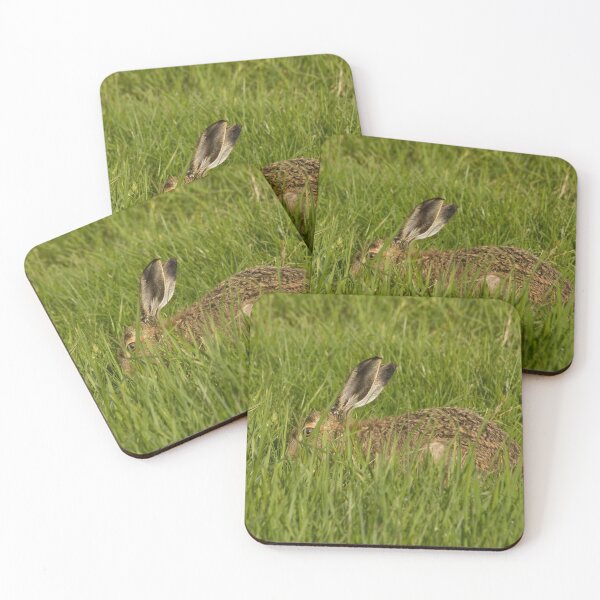 Item preview, Wild hare in the long grass. designed and sold by sandyprints.