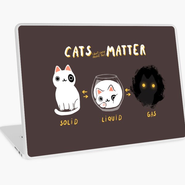 Cats matter - Science Physics - Solid Liquid Gas State Laptop Skin