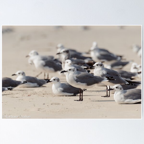 Crowded Beach Poster