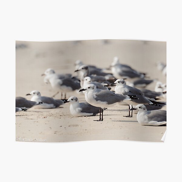 Crowded Beach Poster