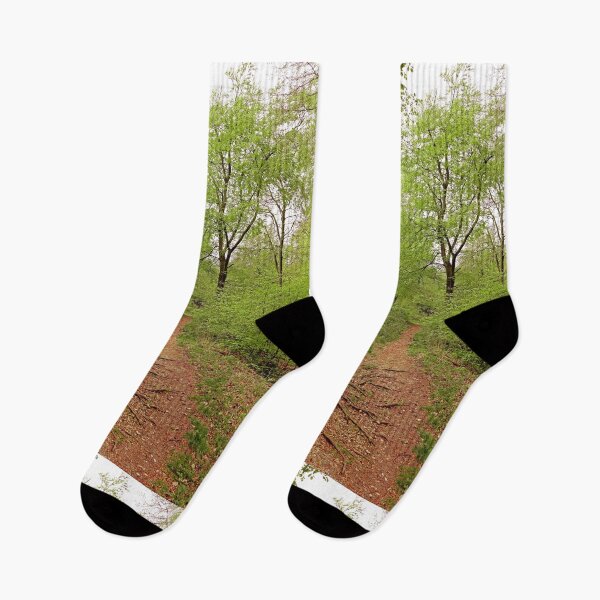 Item preview, Winding Forest Path designed and sold by pinkal.